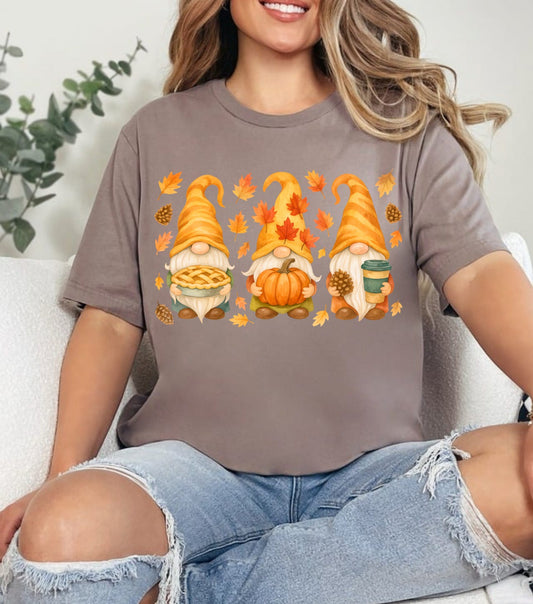 Fall Gnomes