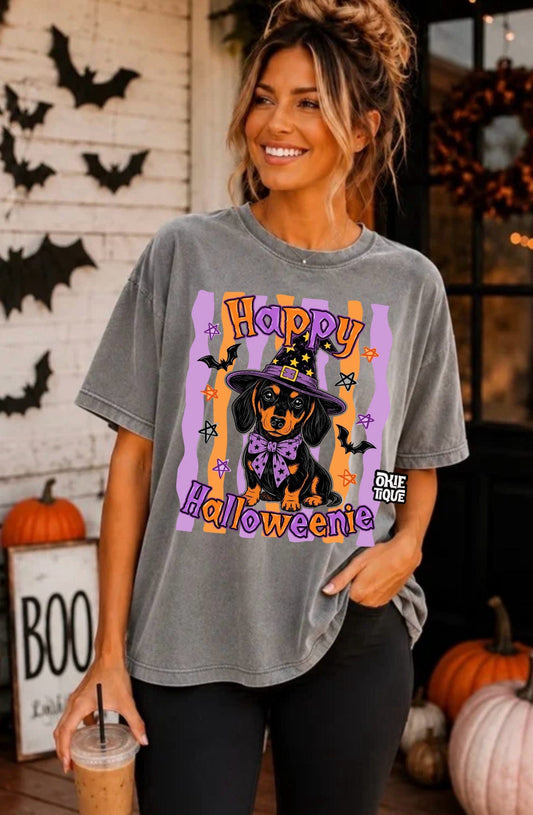 Happy Halloween Dog/ Witch Costume