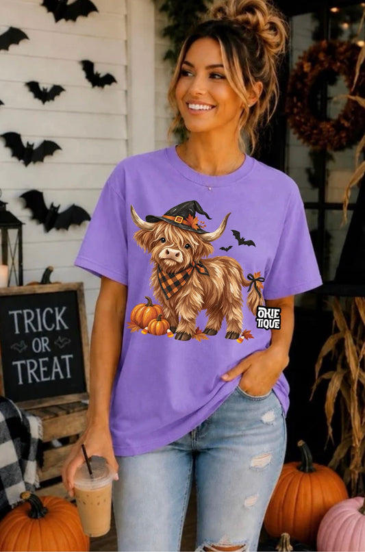 Witchy Highland Cow