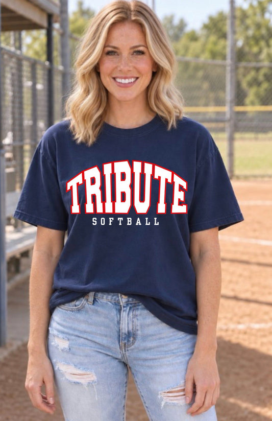 Tribute Softball Half Arch