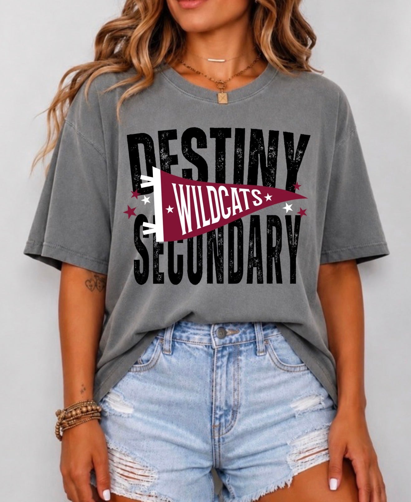 Destiny Christian Secondary