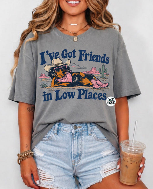I’ve Got Friends In Low Places