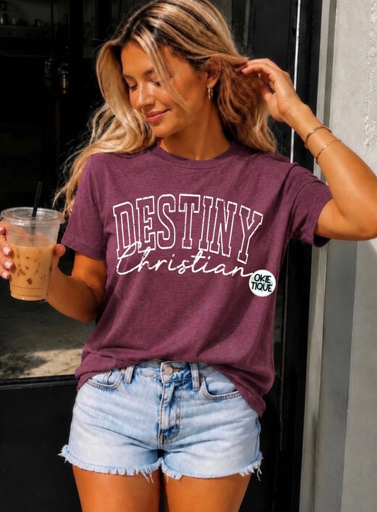 Destiny Christian